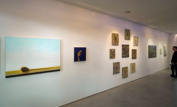 Van Gogh Huis Zundert Overzicht