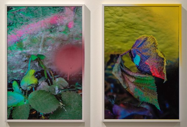 Helder Galerie - Annegret Kellner