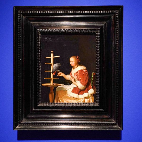 Frans van Mieris - Jonge vrouw die een papegaai voert - Olieverf op paneel, 1663