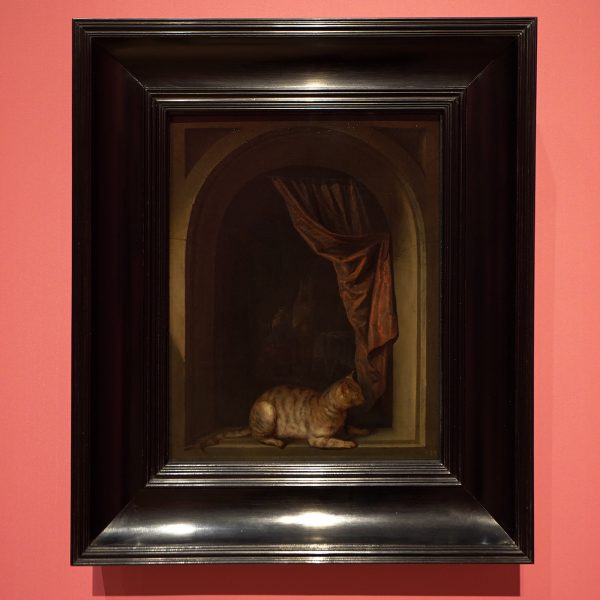 Gerard Dou - Kat hurkend in het raamkozijn van een kunstenaarsatelier - Olieverf op paneel, 1637