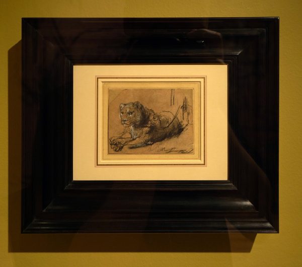 Rembrandt van Rijn - Rustende jonge leeuw - Zwart en wit krijt, grijs gewassen op bruin gelaagd papier, circa 1638-1642