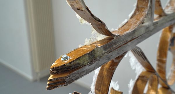 Sofia Salazar Rosales