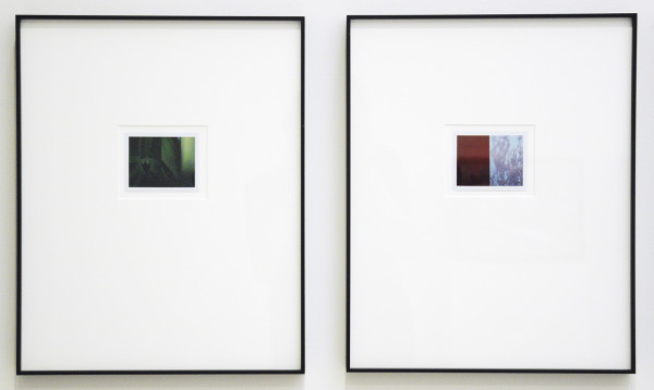 Adam Broomberg & Oliver Chanarin - The Polaroid Revolutionary Wosker Movement ID 0027 & ID 0020 - Polaroids