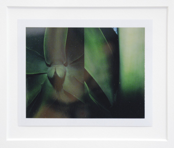 Adam Broomberg & Oliver Chanarin - The Polaroid Revolutionary Wosker Movement ID 0027 - Polaroid (detail)