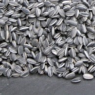 Ai Weiwei was in 2011 de belangrijkste kunstenaar. Het is dan natuurlijk heel erg goed dat een museum in Nederland dat werk weet binnen te halen van die Ai Weiwei. [&hellip;]