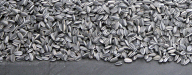 Ai Weiwei was in 2011 de belangrijkste kunstenaar. Het is dan natuurlijk heel erg goed dat een museum in Nederland dat werk weet binnen te halen van die Ai Weiwei. [&hellip;]