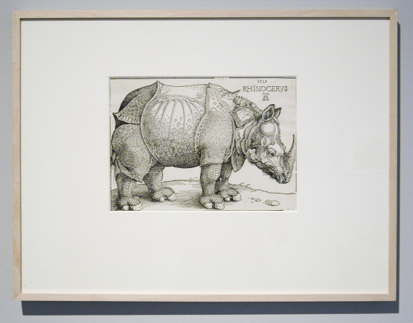 Albrecht Durer - A Rhinoceros - Houtsnede