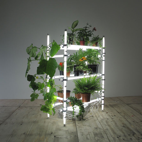 Alejandro Almanza Pereda - A doctor can bury his mistakes, but an architect can only advise his clients to plant vines