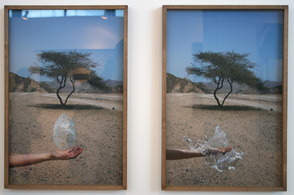 Alessandro de March - Onbekende kunstenaar