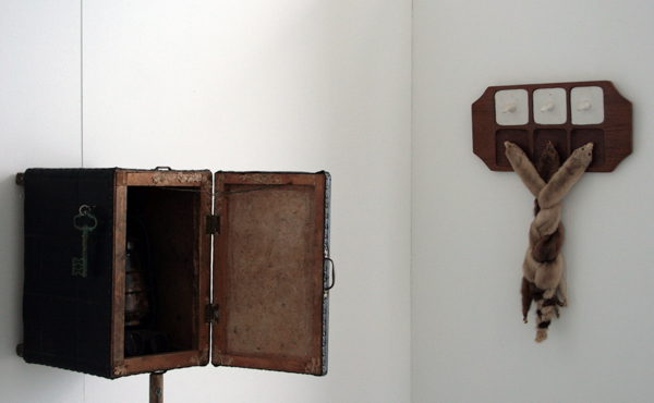 Alexander Fasel Alexander Fasel