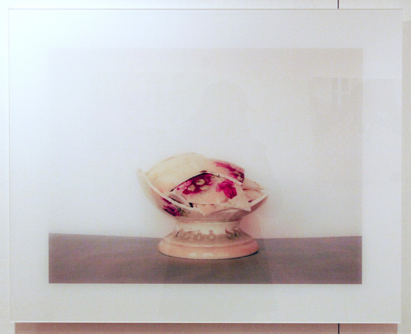 Ann de Saedeleer - Bloempot - 80x65cm Foto op diasec