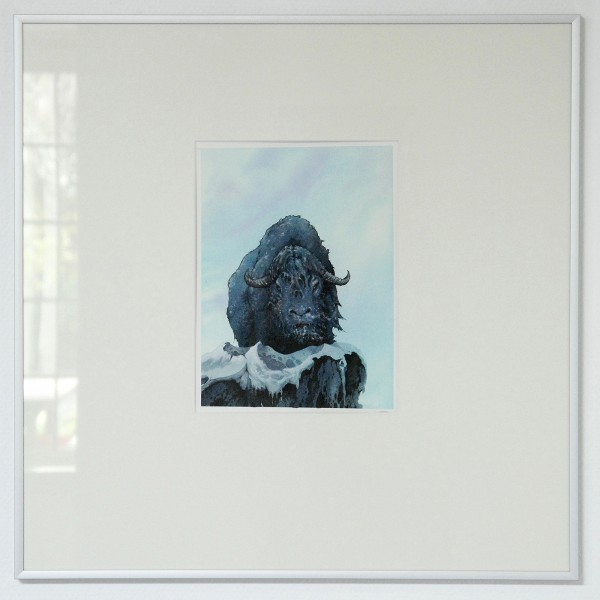Arik Roper - Artic Ox - 8x11inch Aquarel, inkt en gouache op papier
