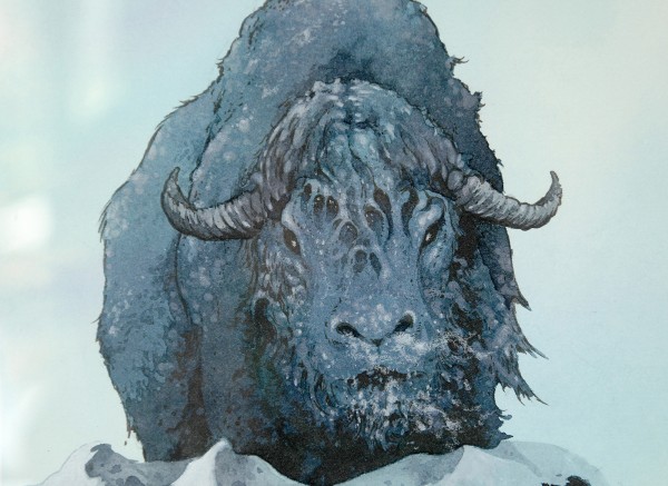 Arik Roper - Artic Ox - 8x11inch Aquarel, inkt en gouache op papier (detail)