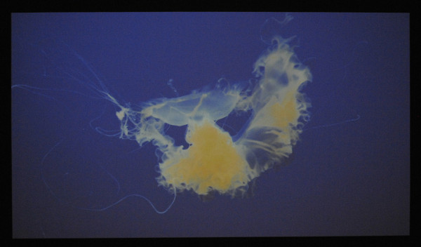 Aurelien Froment - Putmo Marina - 5,10minuten, HDfilm