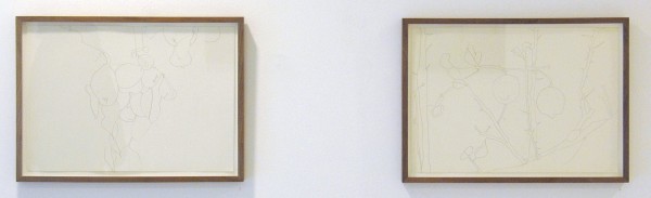 Bettie van Haaster - Citroenboom, Spanje & Beatrixpark - 29x41cm Potlood op papier