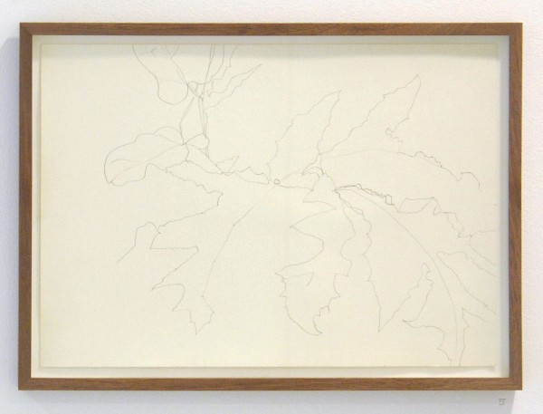 Bettie van Haaster - Griekenland, peren - 29x41cm Potlood op papier