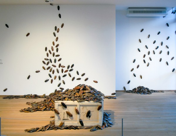Bita Fayyazi - Cockroaches - Geglazuurd keramiek en metaaldraad, 1998-1999