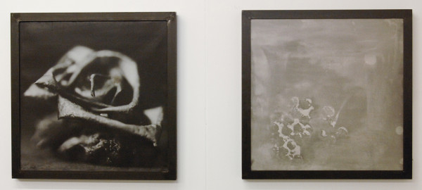 Boomberg Art - Haukur Oskarsson