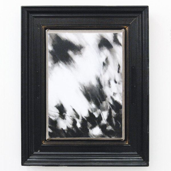 Borzo - Carlijn Mens