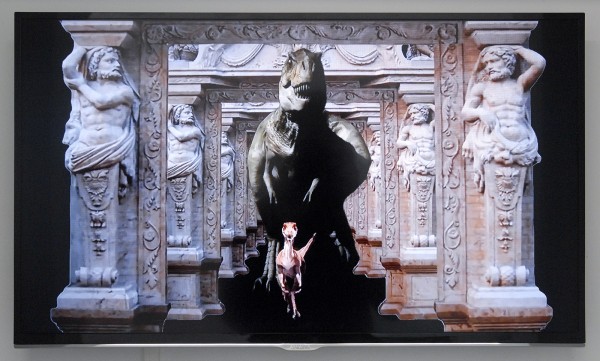 Catherine Biocca - Nevada Promenade - HD Video animatie loop