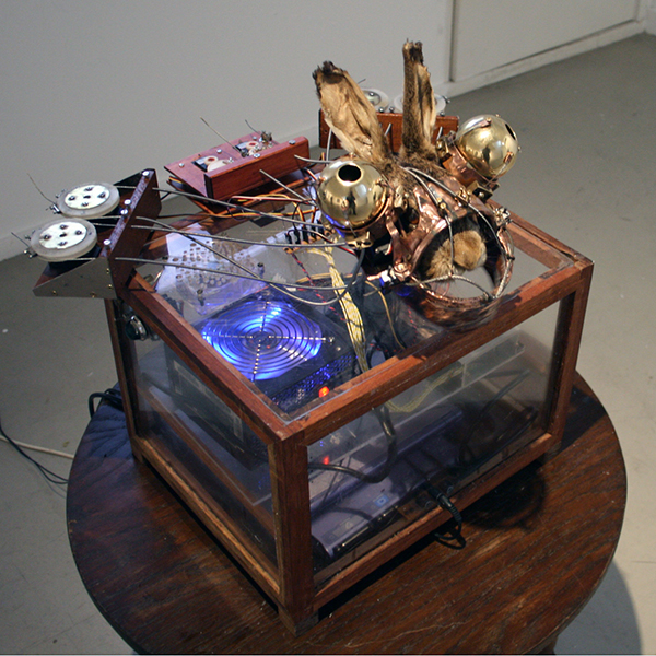 Christiaan Zwanikken - How a Dead Hare Explains Paintings - 40x50x45cm - Haas, koper, animatronics, computer en geluid