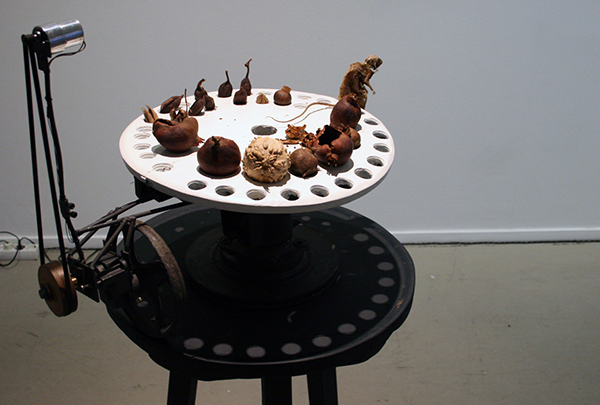 Christiaan Zwanikken - Seeds Make My Day - 65x49x45cm - Ratskelet, hout, zaden, paardenhaar, motoren en electronica