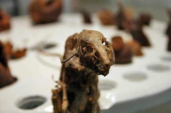 Christiaan Zwanikken - Seeds Make My Day - 65x49x45cm - Ratskelet, hout, zaden, paardenhaar, motoren en electronica