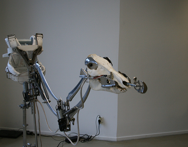 Christiaan Zwanikken - Boar Suit Exoskeletal - 40x200x170cm