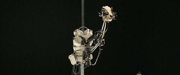 Het rariteitenkabinet op grote schaal in een museum. Dat is eigenlijk het werk van Christiaan Zwanikken (1967) bij Museum het Valkhof. De vergelijking met rariteitenkabinet in relatie tot zijn werk [&hellip;]