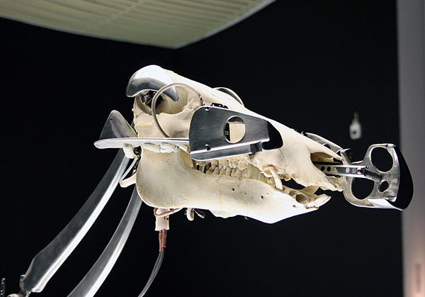 Christiaan Zwanikken - Exoskeletal (detail)