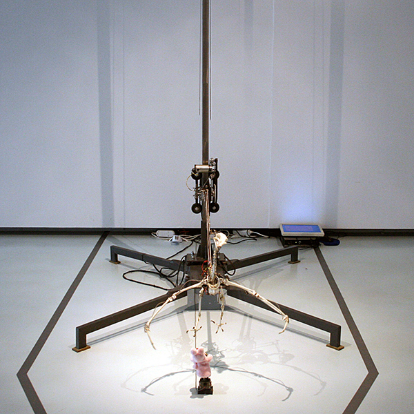 Christiaan Zwanikken - Fuck Duracell