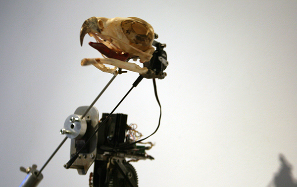 Christiaan Zwanikken - Mister Houdin, Don't Forget Your Bird - 50x90x40cm Vogelschedel, kenetica, leer en electronica (detail)