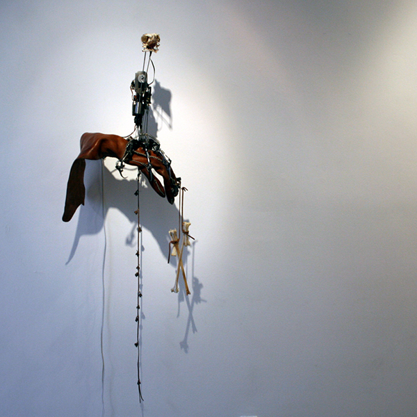 Christiaan Zwanikken - Mister Houdin, Don't Forget Your Bird - 50x90x40cm Vogelschedel, kenetica, leer en electronica