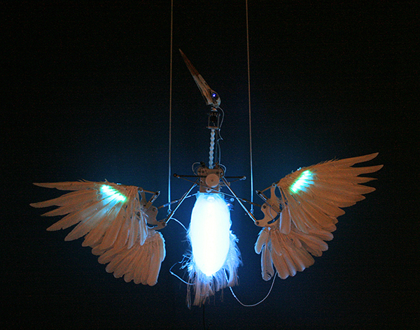 Christiaan Zwanikken - Phoenix