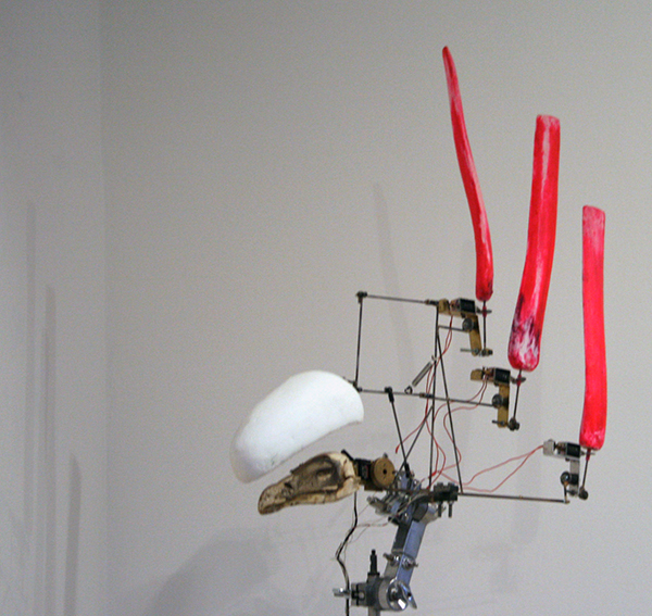 Christiaan Zwanikken - Pink Tailed Vulture - 60x100x14cm Gierschedel, staal, hout, solenoids, kenetica en computer