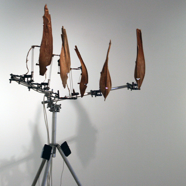 Christiaan Zwanikken - Questionable Gods of Bio Mechanics - 200x210x50cm Palmbladeren, hout, servos, staal, computer en geluid