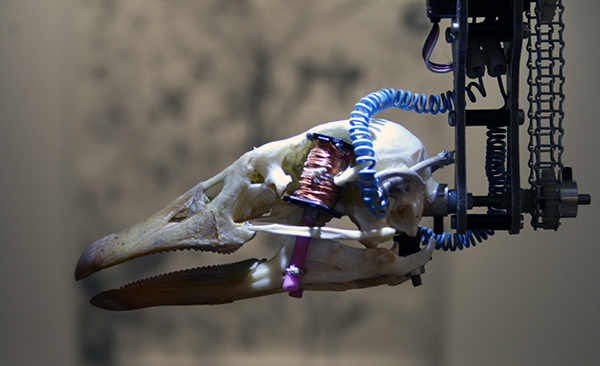 Christiaan Zwanikken - Salto Mortale - 14x48x80cm Ganzenschedel staal, licht, kenetica en microcomputer (detail)