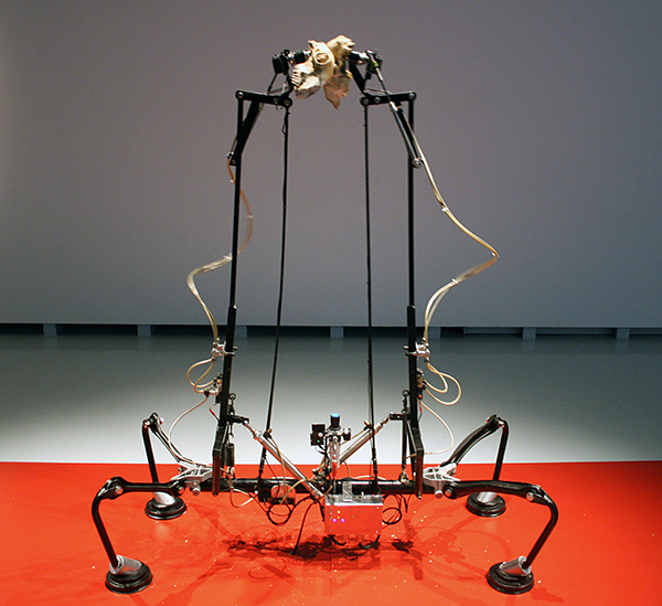 Christiaan Zwanikken - The Twins