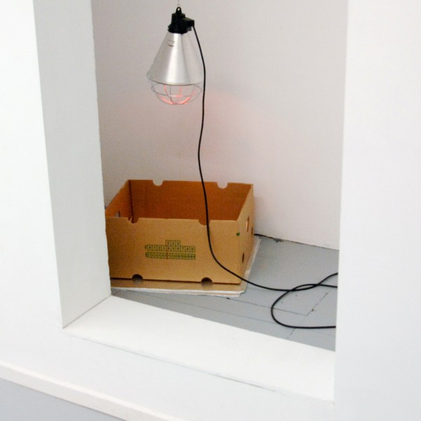 Christine Moldricks - Vogelbox