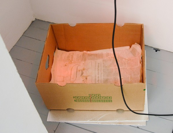 Christine Moldricks - Vogelbox