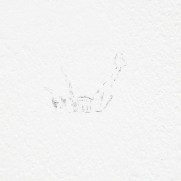 Claire Harvey - The Catch - Installatie met olieverf op muur met schroefjes en touw (detail)