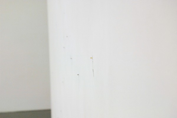 Claire Harvey - The Catch - Installatie met olieverf op muur met schroefjes en touw (detail)