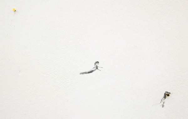 Claire Harvey - The Catch - Installatie met olieverf op muur met schroefjes en touw (detail)