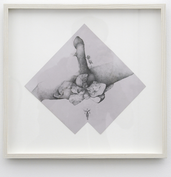 Cokkie Snoei - Koes Staassen