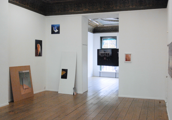 Cokkie Snoei Overzicht