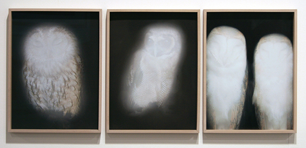 Conrads - Anna Vogel