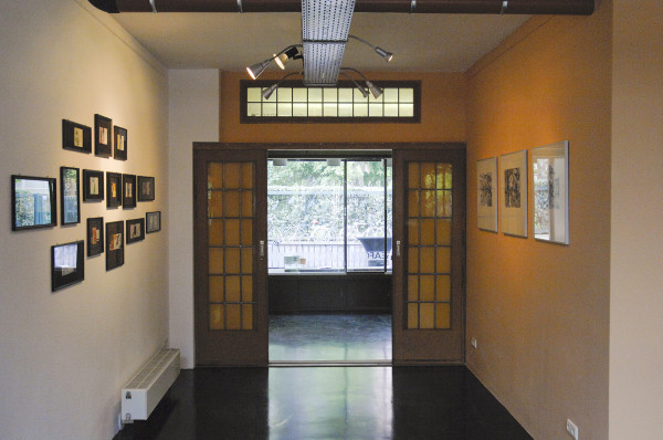 Costin Chioreanu Overzicht