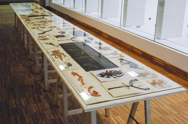 Couzijn van Leeuwen - Schillenbeesten - Schillen van fruit en groenten