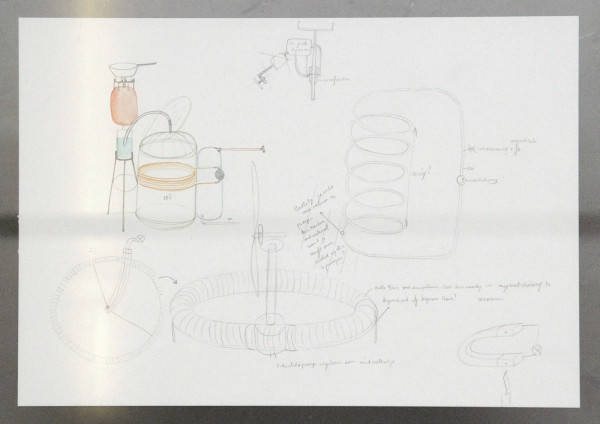 Bram de Jonghe (kelder)