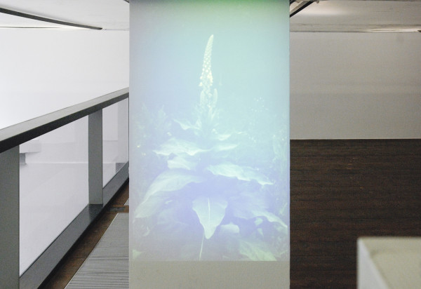 Bram de Jonghe (hoofdruimte)